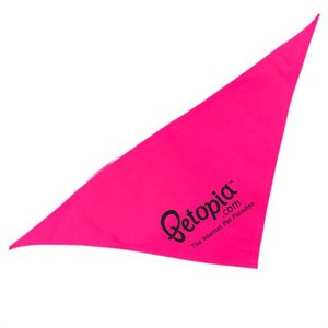DB20 - Triangle Bandana