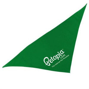DB20 - Triangle Bandana