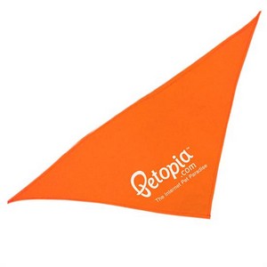 DB20 - Triangle Bandana