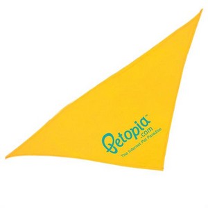 DB20 - Triangle Bandana